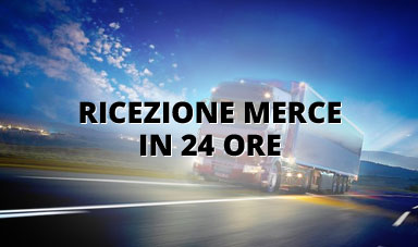 ricezione e distribuzione merce in 24 ore